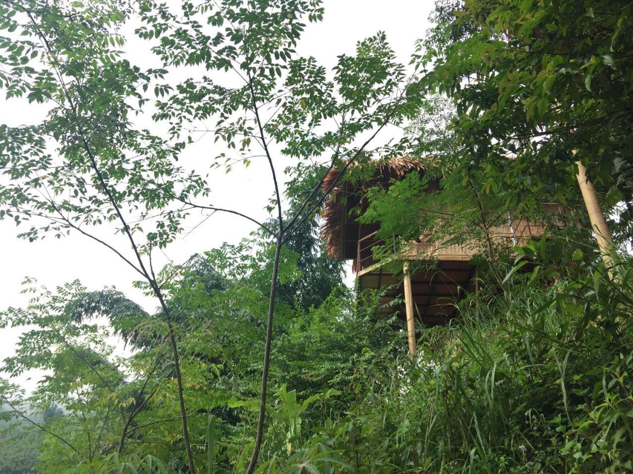 Eco Hills Homestay Sapa Exterior foto